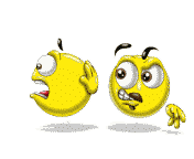:	13735095461058.gif
: 2175
:	18.3 