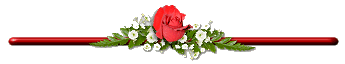 :	5323_11315485812.gif
: 1439
:	5.5 