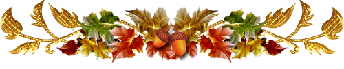 :	286ea4920ad3121f33be9ded53ca781a.png
: 2809
:	116.0 
