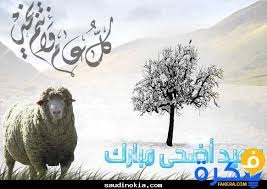 :	images.jpg
: 305
:	10.3 
