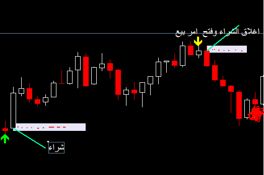 الاســـم: Expert.PNG
المشاهدات: 927
الحجـــم: 11.4 كيلوبايت